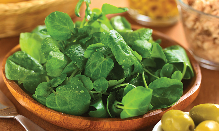 Những loại rau nào nhiều dưỡng chất nhất?