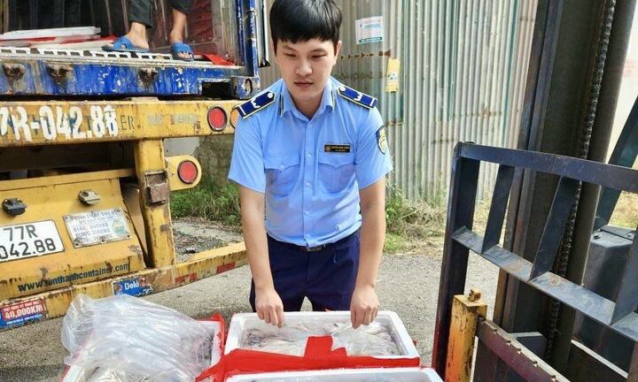 Bắt giữ xe đầu kéo Bình Định vận chuyển gần 5 tấn cá khoai có chứa formol