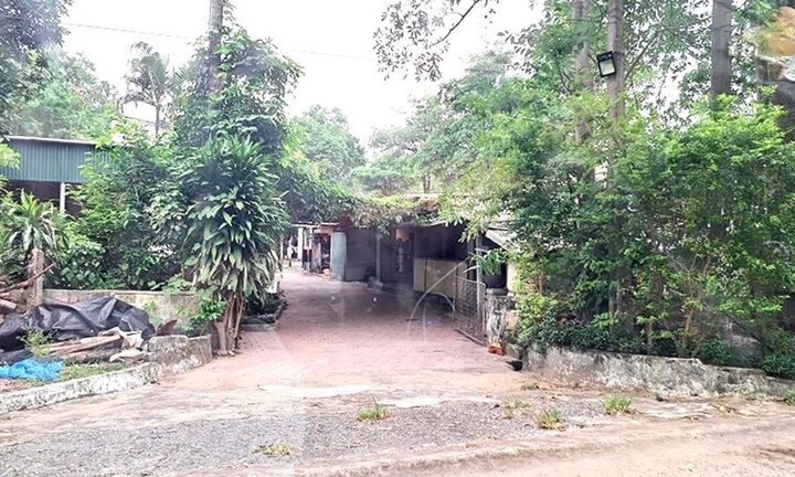 Truy bắt thanh niên bắn vợ bạn nhậu rồi bỏ trốn