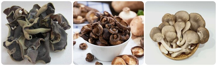 3 loại nấm quen thuộc phòng được ung thư, là bí quyết sống thọ của người Nhật