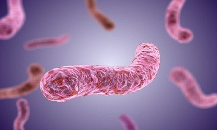 Người phụ nữ ở Quảng Nam tử vong do nhiễm vi khuẩn 'ăn thịt người'