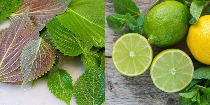 Cách làm trắng da cấp tốc từ lá tía tô