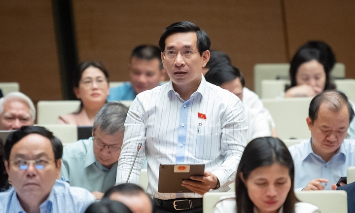 ĐBQH kiến nghị tham khảo đấu giá biển số ô tô cho sim số đẹp