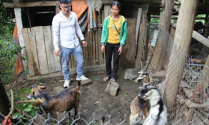 Bỏ phố về quê làm hợp tác xã làm giàu