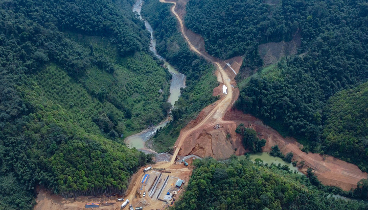 Bộ Nông nghiệp đồng ý chuyển đổi 658 ha rừng làm 23 dự án