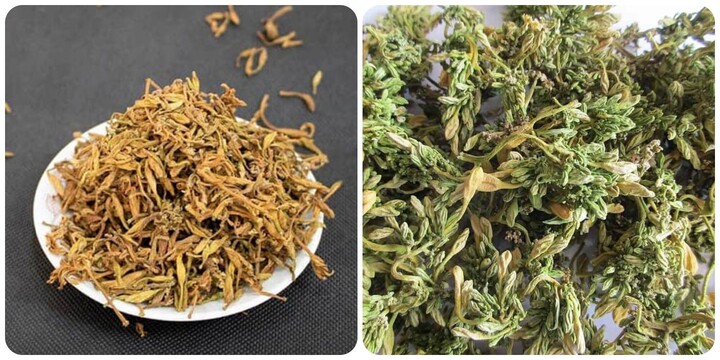 5 công dụng của hoa đu đủ đực ít người biết