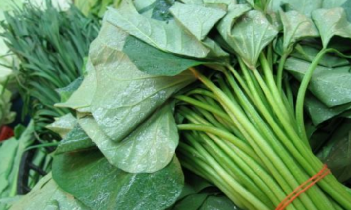 Loại rau bổ ngang nhân sâm, ăn lợi đủ đường, nhưng nhiều người bỏ qua