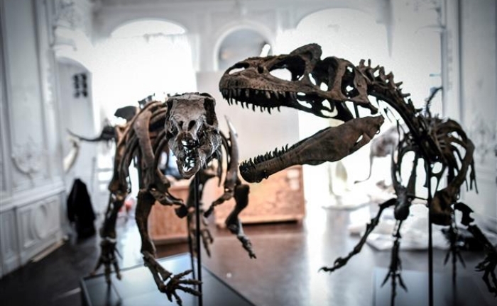 Giải mã 'thế lực' tuyệt diệt loài khủng long