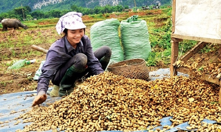 'Bệ phóng' cho thương hiệu nông sản