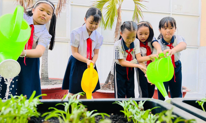 Cô trò tiểu học ở TP.HCM trồng rau gây quỹ học bổng