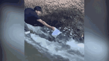 Mang ca nhựa đi bắt cá, người đàn ông nhận thành quả kinh ngạc