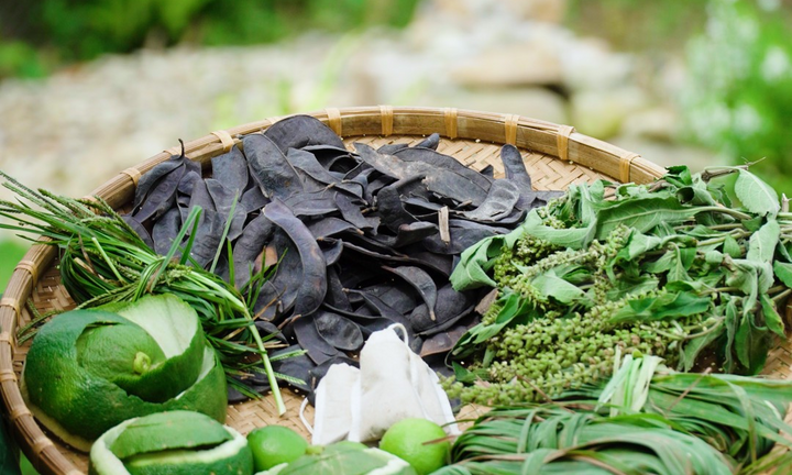 Thuận Thiên - Làm nông nghiệp bằng sự tinh tế, tỉ mỉ và sáng tạo
