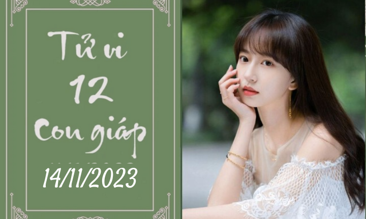 Tử vi vui 12 con giáp hôm nay ngày 14/11/2023: Ngọ tận hưởng, Dần tài giỏi