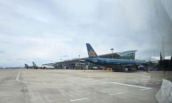 Chó chạy vào sân bay Đà Nẵng, máy bay phải lượn vòng