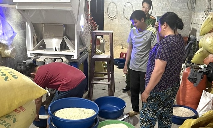 Lào Cai: Phát hiện cơ sở nhuộm 'gạo Séng cù' từ lá dứa