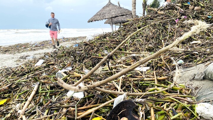 Rác thải, lục bình tràn ngập bãi biển đẹp nhất châu Á ở Hội An