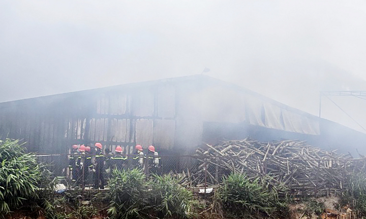 Cơ sở sản xuất nấm rộng hơn 3 ha ở Lâm Đồng bốc cháy dữ dội