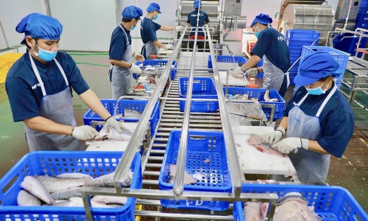 Nuôi trồng thủy sản, nhiều mô hình hợp tác xã bội thu