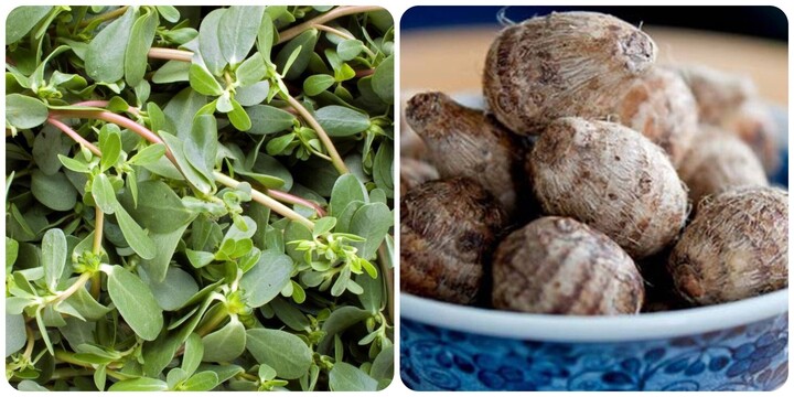 2 loại rau 'sống thọ' được thế giới ca tụng có ở Việt Nam nhưng không ai biết