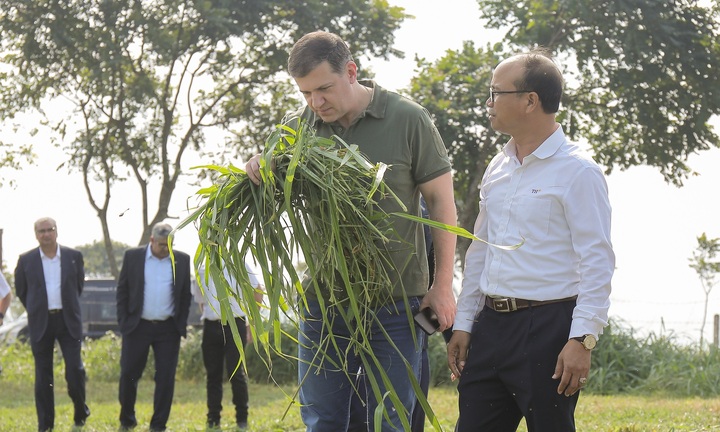 Bộ trưởng Nông nghiệp Kaluga ấn tượng với trang trại TH true MILK