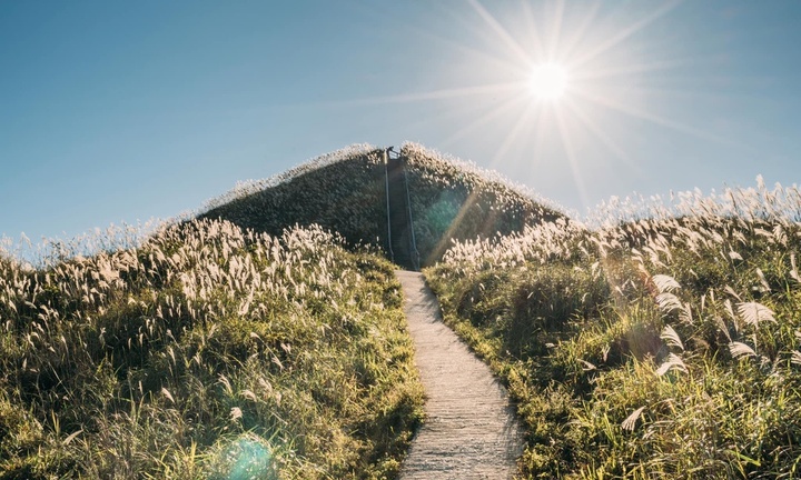 Ngắm 'thiên đường' cỏ lau trên đường tuần tra biên giới 