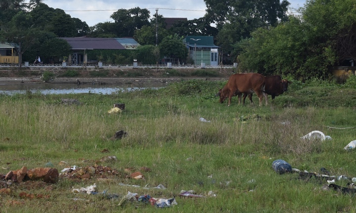 Cảng quân sự là di tích quốc gia bị bỏ hoang phế, dân biến thành nơi chăn bò