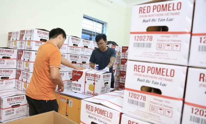 Tỉnh Hòa Bình tăng cường mở rộng khả năng tiếp cận vốn cho các doanh nghiệp