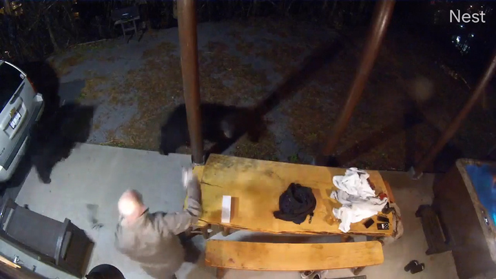 Chủ nhà gan dạ xua đuổi hai chú gấu đột nhập