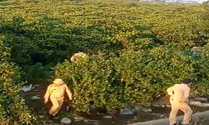 Hàng trăm cảnh sát vây rừng bần truy bắt 2 phạm nhân trốn trại ở Hà Tĩnh