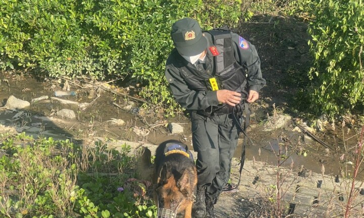 Chó nghiệp vụ xới tung từng gốc cây truy quét tội phạm trốn trại giam