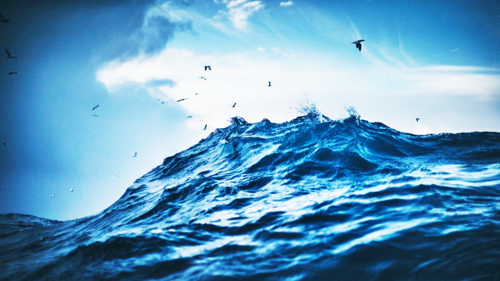 Lượng oxy giảm 6%, độ axit tăng 30% ở biển Bắc Đại Tây Dương 