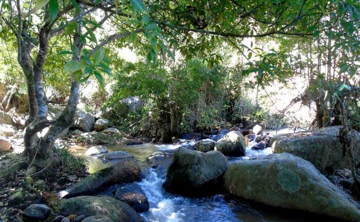 Bật mí những con suối đẹp ở Đà Lạt