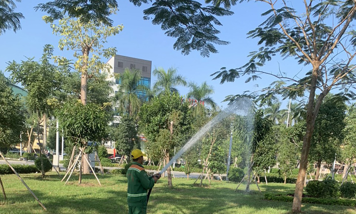 Hải Phòng sở hữu hệ thống dải cây xanh trung tâm thành phố dài bậc nhất cả nước 