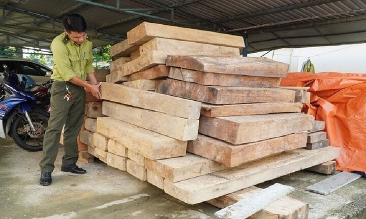 Quảng Nam: Phạt kẻ cất gỗ lậu trên đất của Trưởng phòng Nội vụ 37,5 triệu đồng