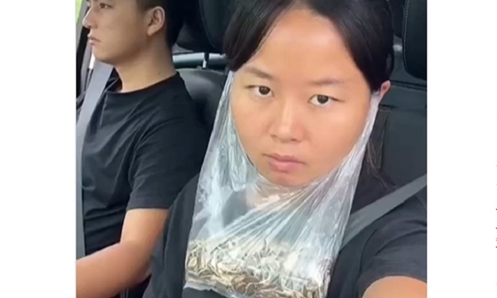 Khi bạn lười vứt rác nhưng lại mê cắn hạt hướng dương 