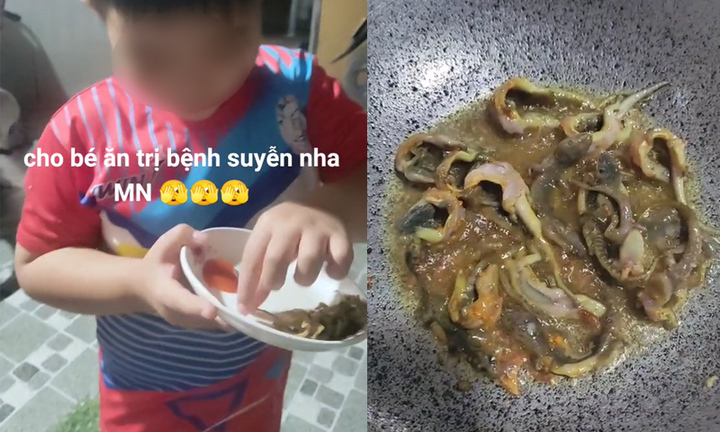 Tranh cãi clip cho trẻ ăn thằn lằn chữa hen trên TikTok, chuyên gia nói gì?