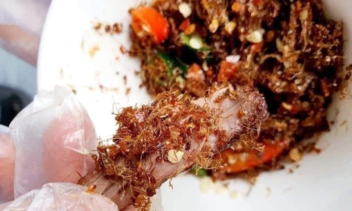 Đặc sản bò một nắng muối kiến vàng Phú Yên được làm ra thế nào? 