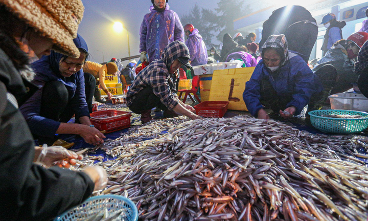 Liên tiếp trúng đậm hải sản, ngư dân thu hàng chục triệu đồng mỗi chuyến ra khơi