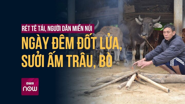 Rét tê tái, người dân miền núi ngày đêm đốt lửa sưởi ấm trâu, bò