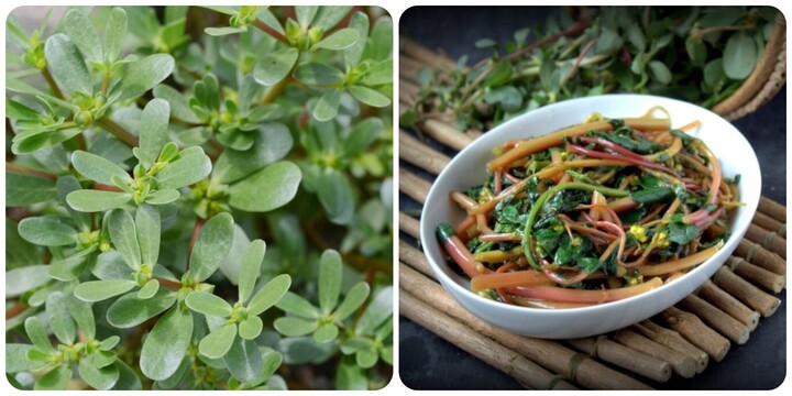 Rau sam rất bổ dưỡng nhưng không nên ăn cùng những thực phẩm này