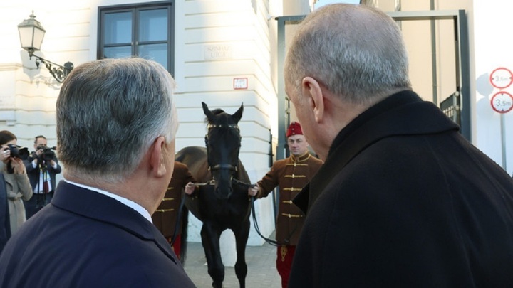 Thủ tướng Hungary tặng ngựa cho Tổng thống Thổ Nhĩ Kỳ