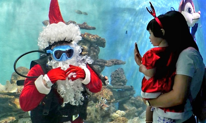 Du khách thích thú xem ông già Noel, người tuyết nhảy múa cùng cá biển
