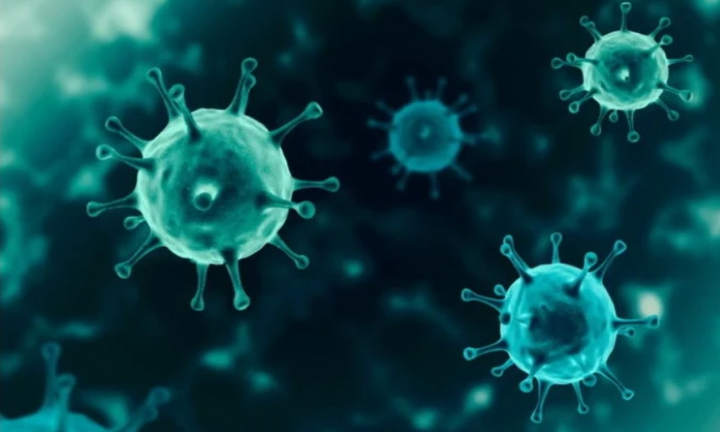 Bộ Y tế thông tin về biến thể JN.1 của virus SARS-CoV-2 gia tăng nhanh