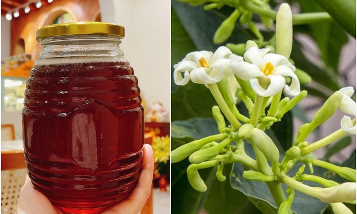 Cách làm hoa đu đủ đực ngâm mật ong không phải ai cũng biết