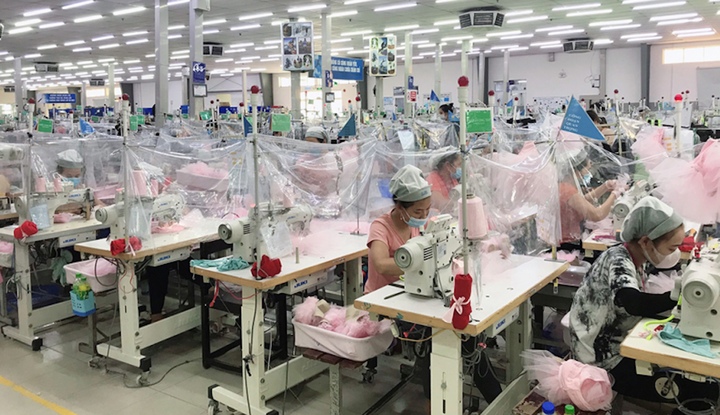 Cần chế tài xử phạt chậm nộp BHXH để tăng cường trách nhiệm của doanh nghiệp