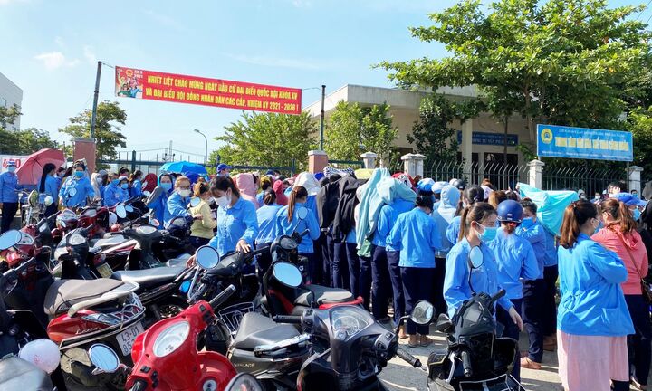 Phải xử lý doanh nghiệp nợ BHXH để bảo vệ người lao động