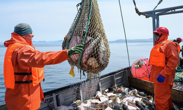 Mỹ trừng phạt ngành thủy sản của Nga