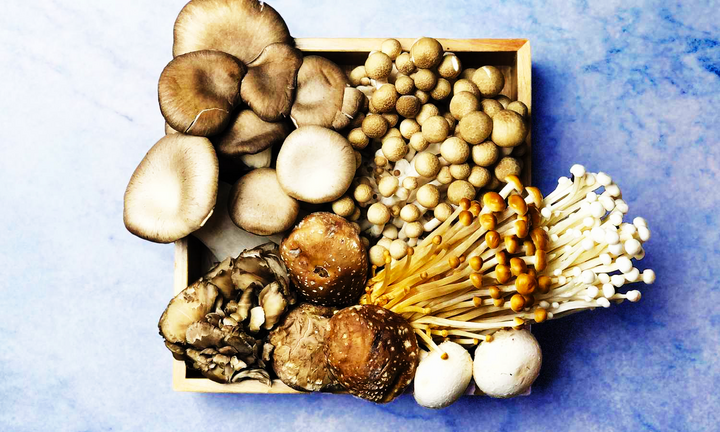 Lý do bạn nên ăn nấm mỗi ngày