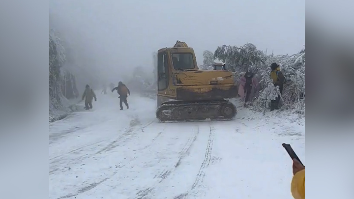 Máy xúc trôi tự do, lao vào nhóm du khách