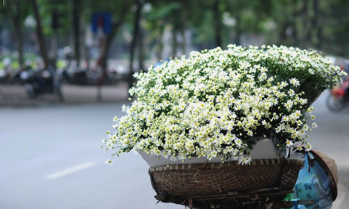 Hà Nội vào đông có gì thú vị?